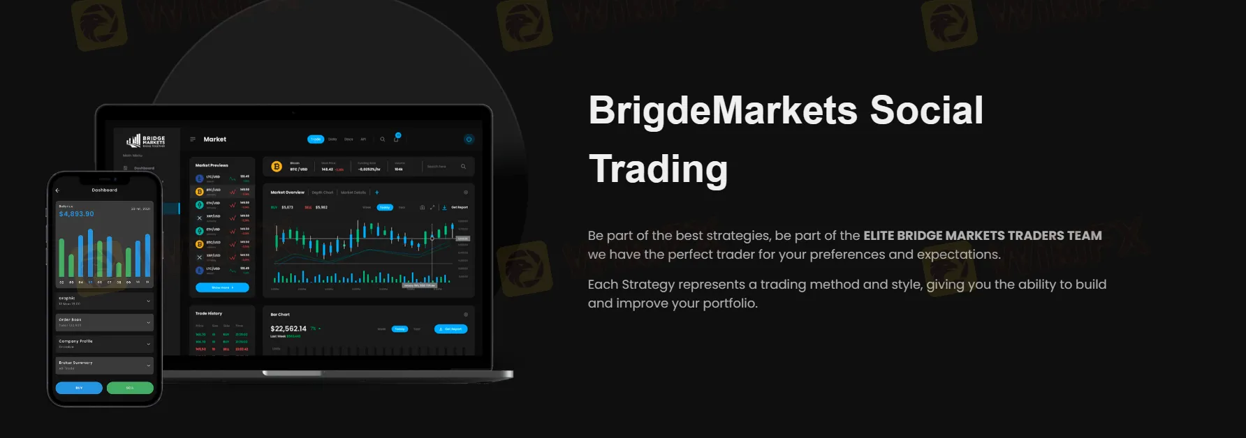 social trading social trading