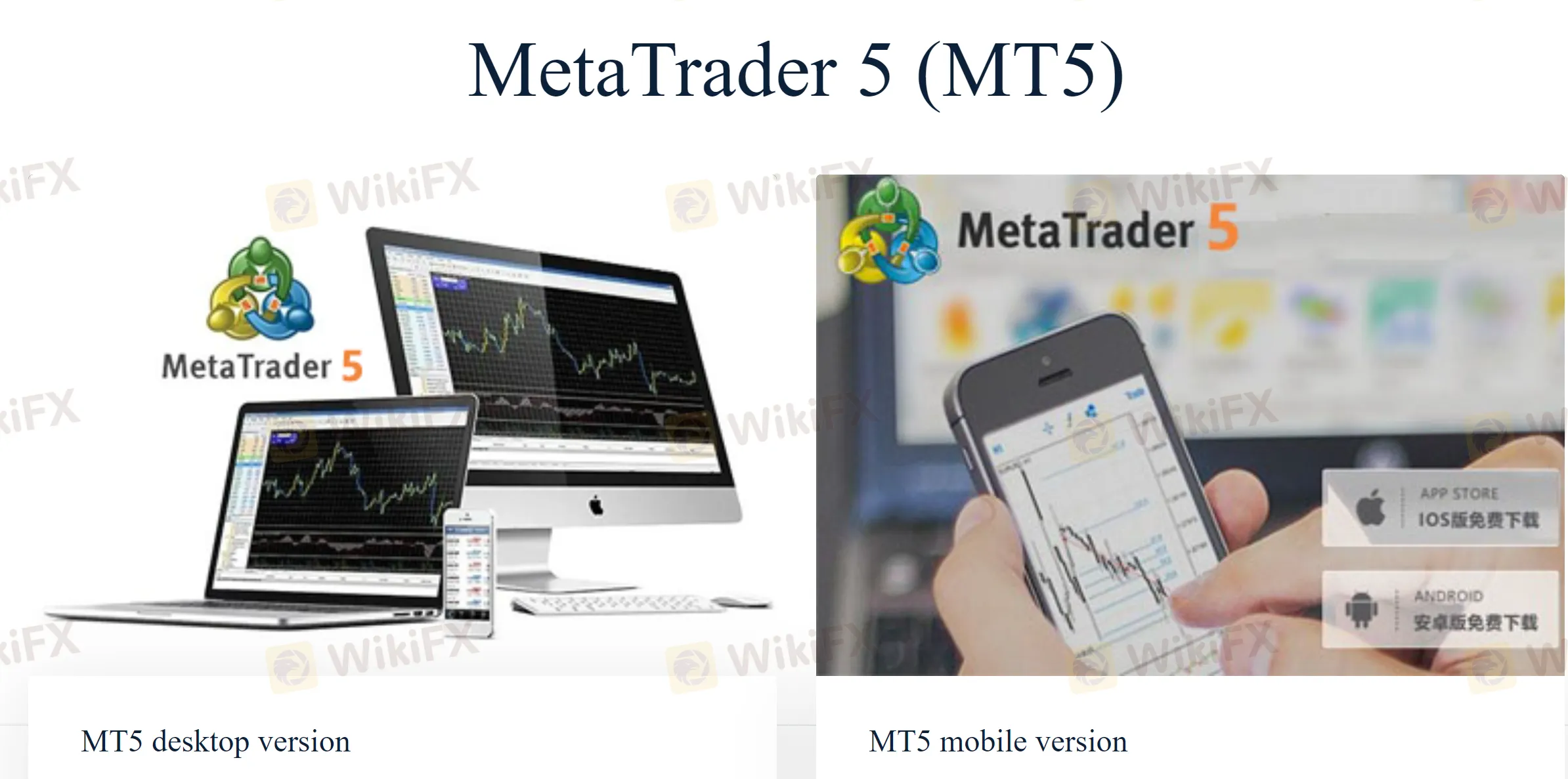 trading-platform