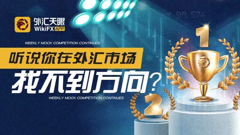 <b> 图片