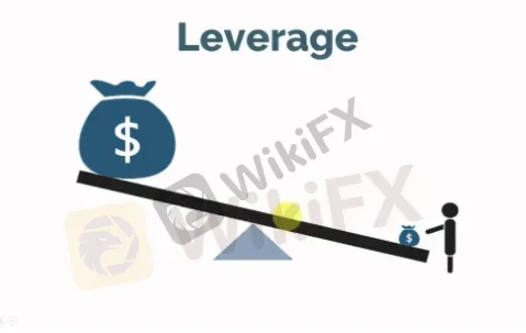 Leverage