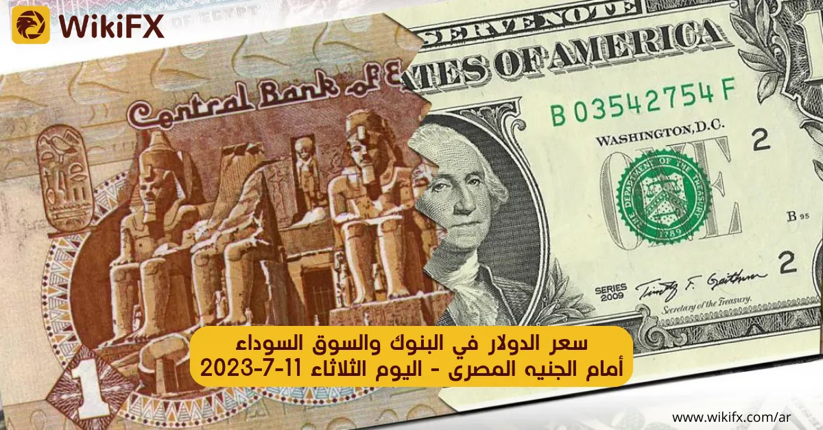 سعر الدولار مقابل الجنية في السوق السوداء اليوم.png سعر الدولار مقابل الجنية في السوق السوداء اليوم.png