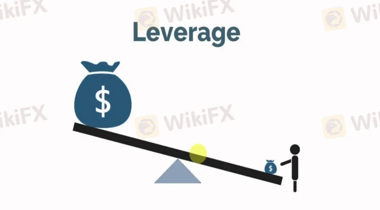 leverage