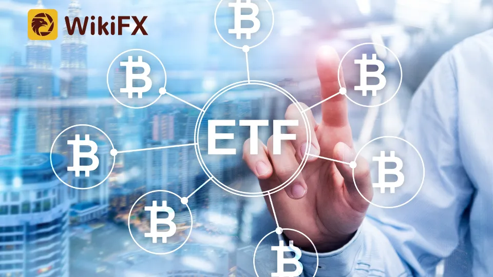 Bitcoin ETFs.png
