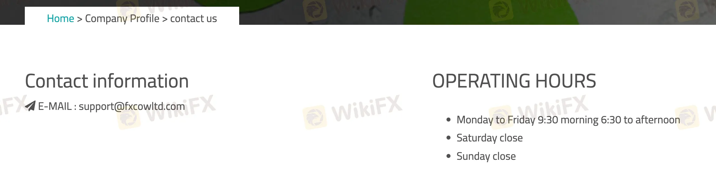 customer-support