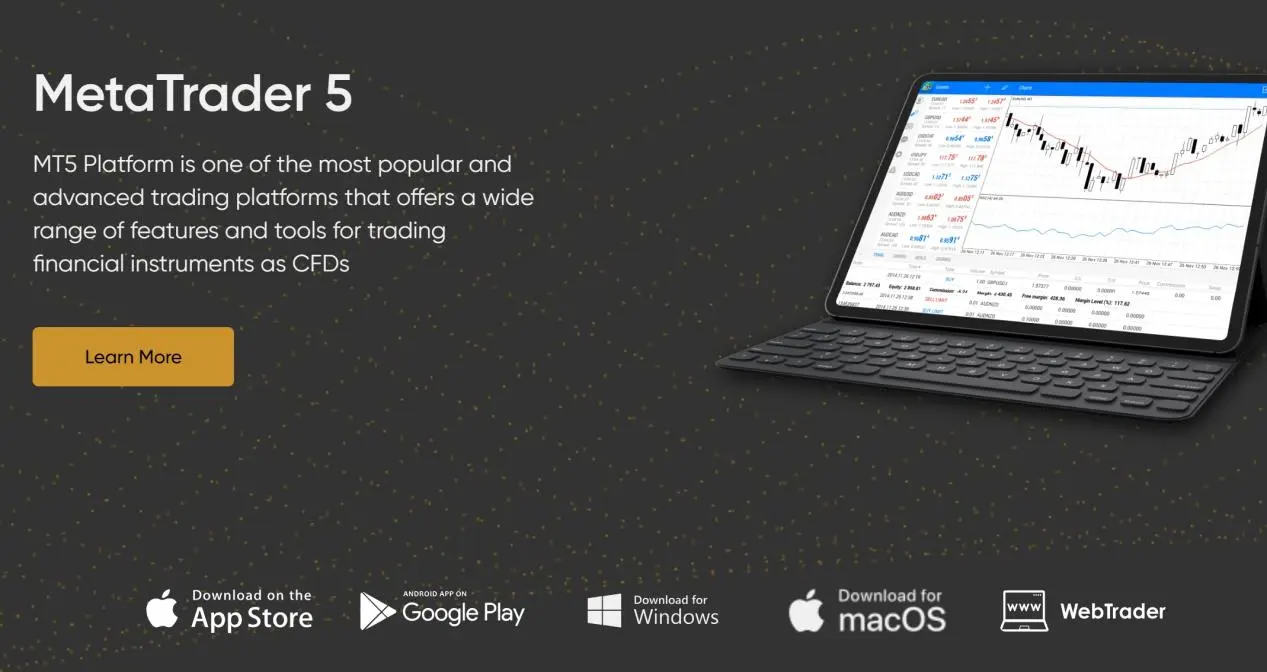 MT5