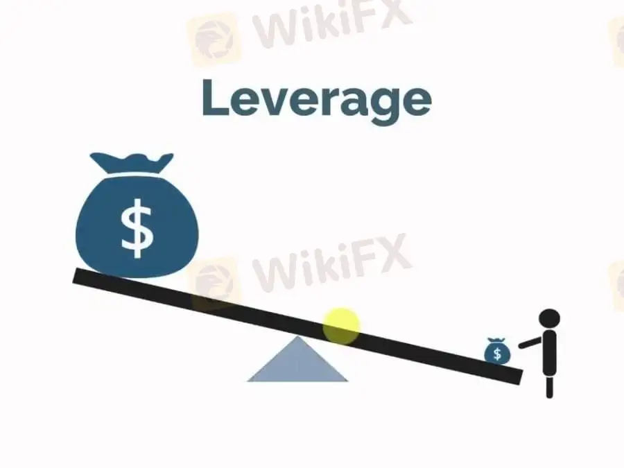 leverage 