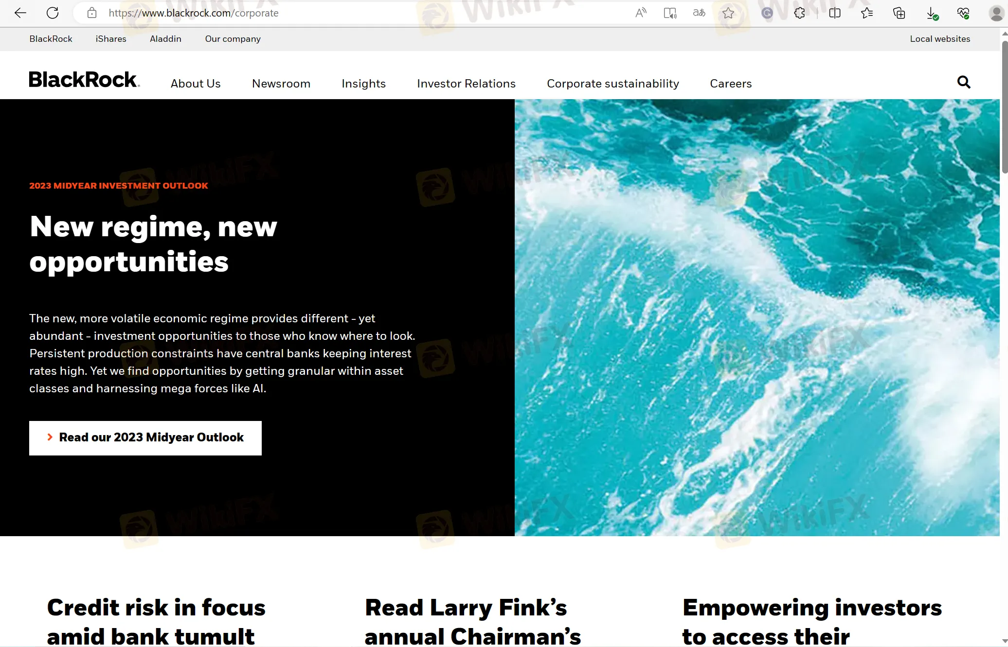 Blackrock's home page