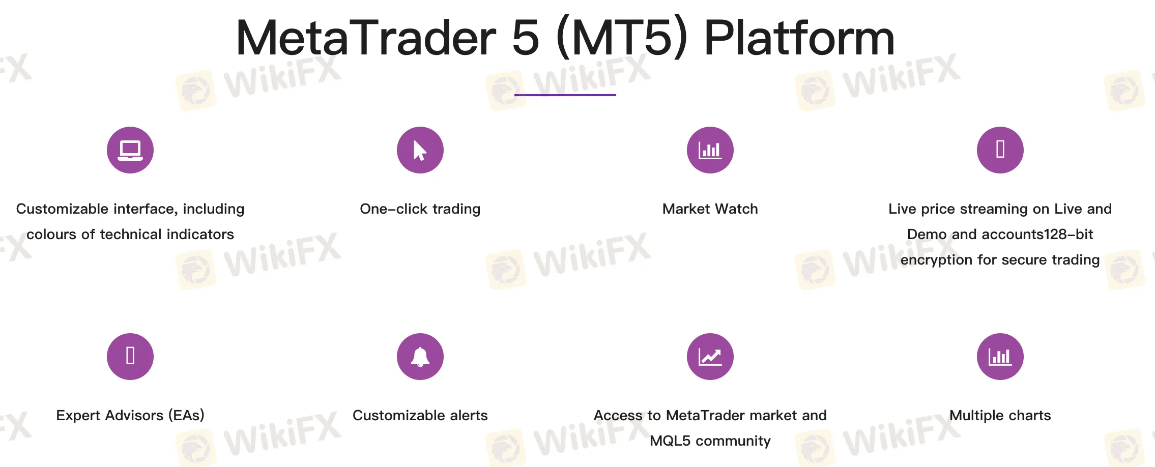  Trading Platforms