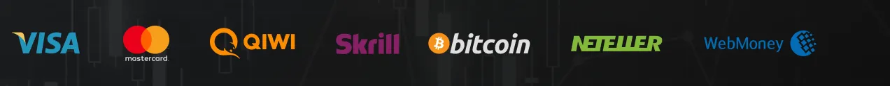 支付方式