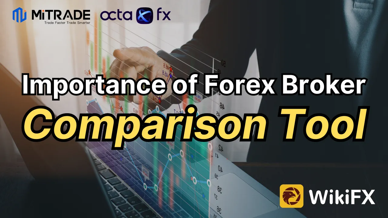 How Important is the Forex Broker Comparison Tool of WikiFX MiTrade Vs OctaFX.png How Important is the Forex Broker Comparison Tool of WikiFX MiTrade Vs OctaFX.png