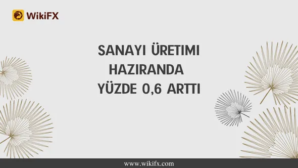 Sanayi üretimi haziranda yüzde 0,6 arttı.png Sanayi üretimi haziranda yüzde 0,6 arttı.png