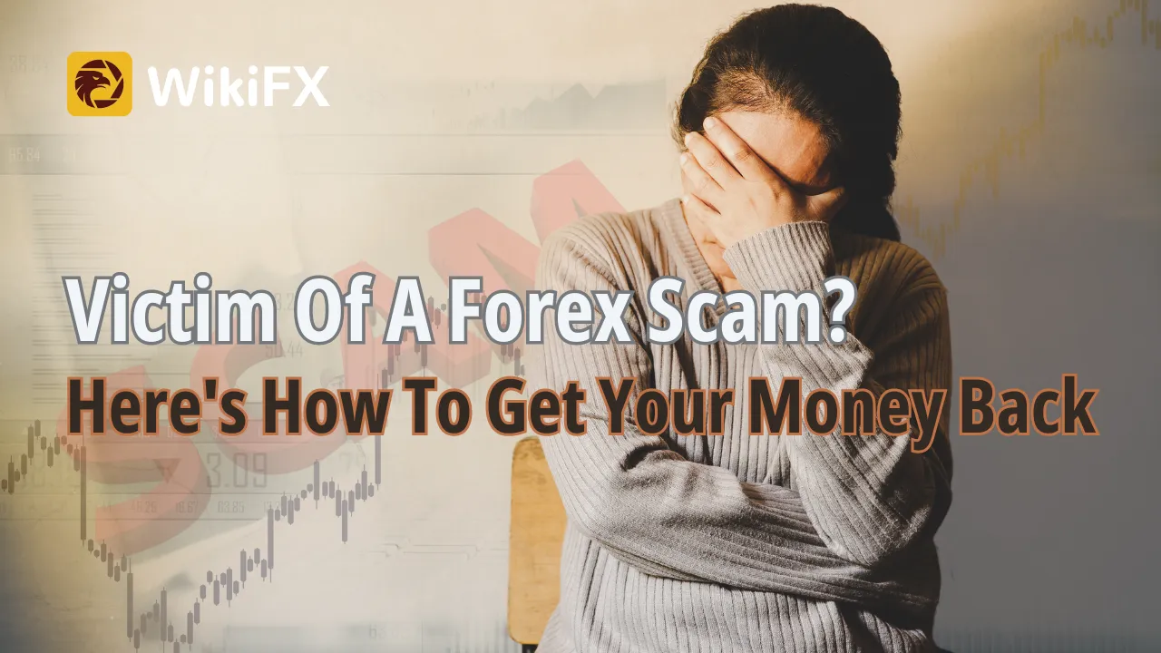 Victim Of A Forex Scam Here's How To Get Your Money Back.png Victim Of A Forex Scam Here's How To Get Your Money Back.png