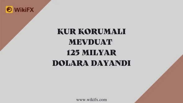 Kur Korumalı Mevduat 125 Milyar Dolara Dayandı.png Kur Korumalı Mevduat 125 Milyar Dolara Dayandı.png