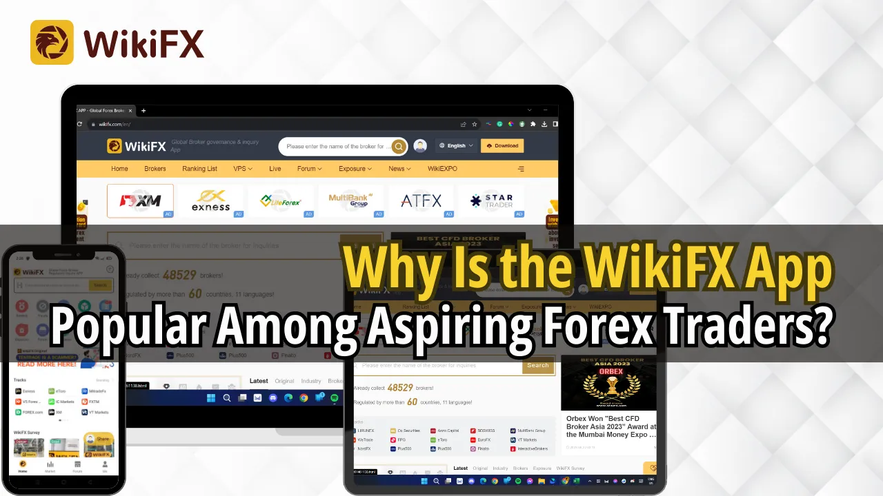 Why Is the WikiFX App Popular Among Aspiring Forex Traders.png Why Is the WikiFX App Popular Among Aspiring Forex Traders.png