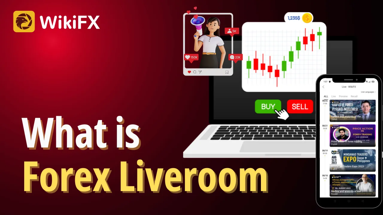 What is a Forex Liveroom.png