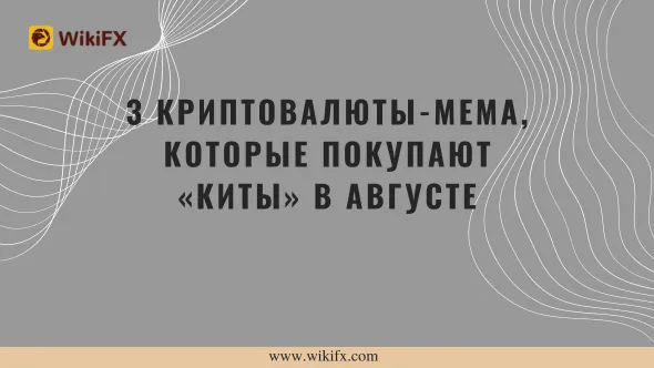 3 криптовалюты-мема, которые покупают «киты» в августе.png 3 криптовалюты-мема, которые покупают «киты» в августе.png