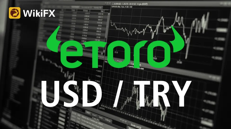 etoro (2).png