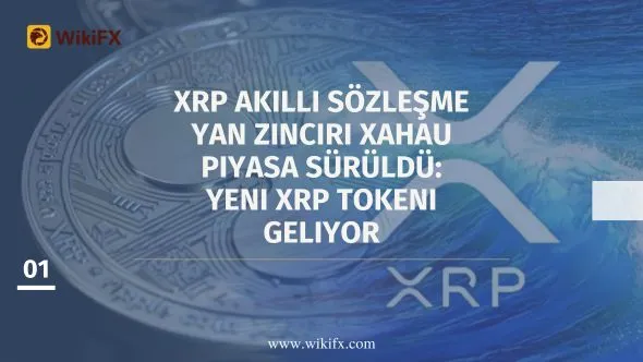 XRP akıllı sözleşme yan zinciri Xahau piyasa sürüldü Yeni XRP tokeni geliyor.jpg XRP akıllı sözleşme yan zinciri Xahau piyasa sürüldü Yeni XRP tokeni geliyor.jpg