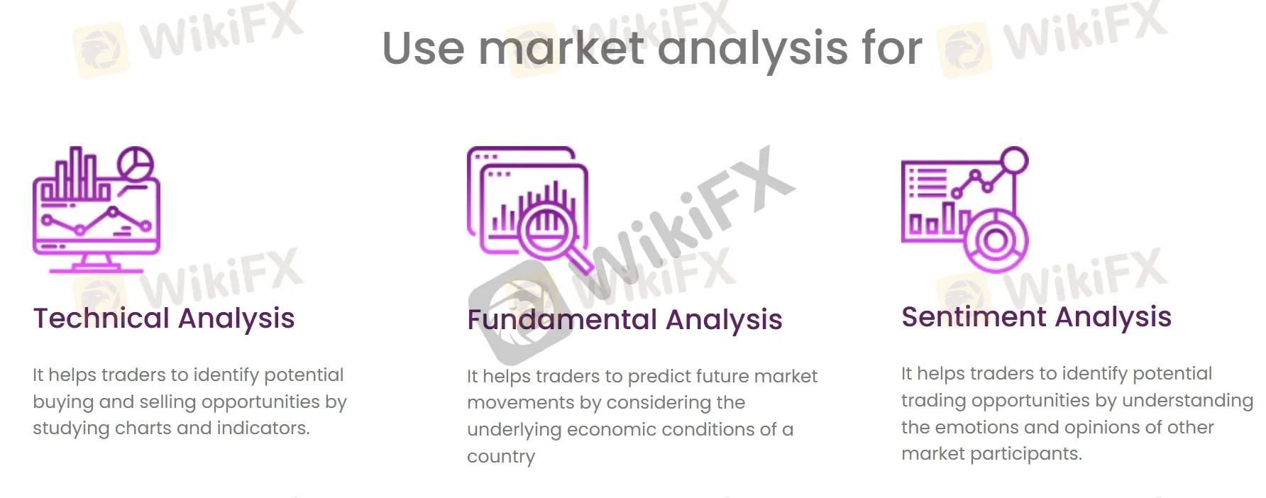 Market analysis