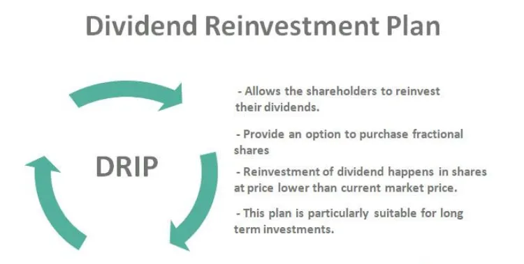 Dividend-Reinvestment-Plan-3.png Dividend-Reinvestment-Plan-3.png