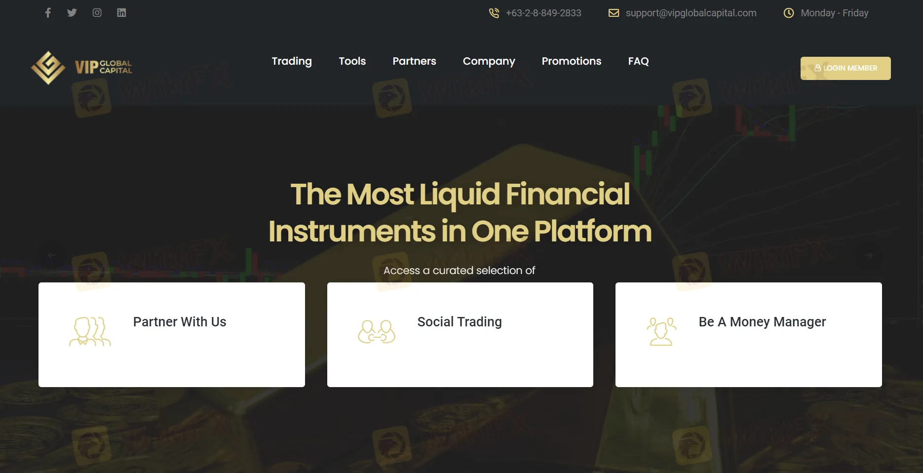 Overview of VIPGlobal Capital