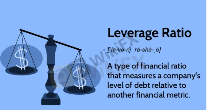 leverage 