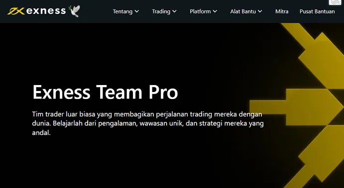 team-pro-pialang-exness.png