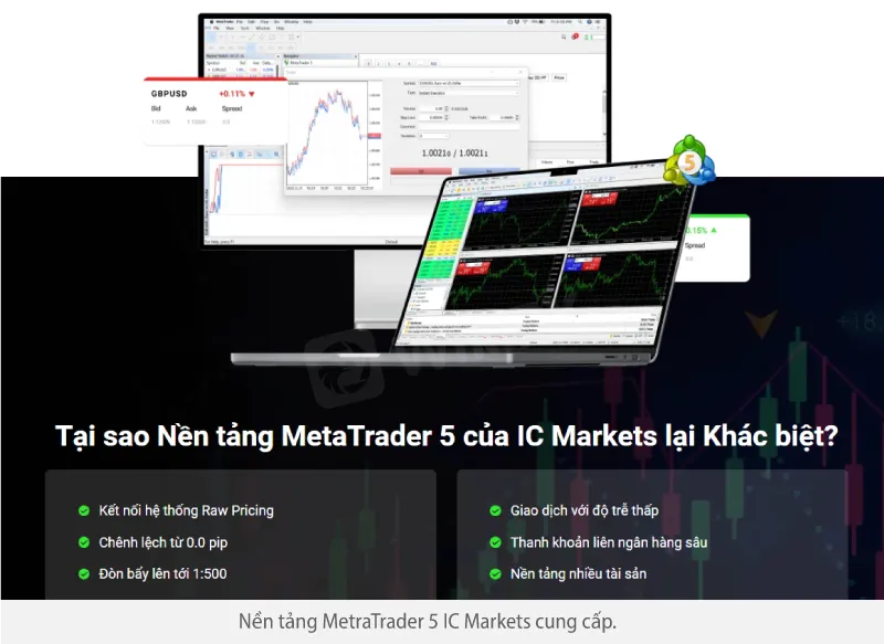 Broker-review---Sep-14-2.2.jpg