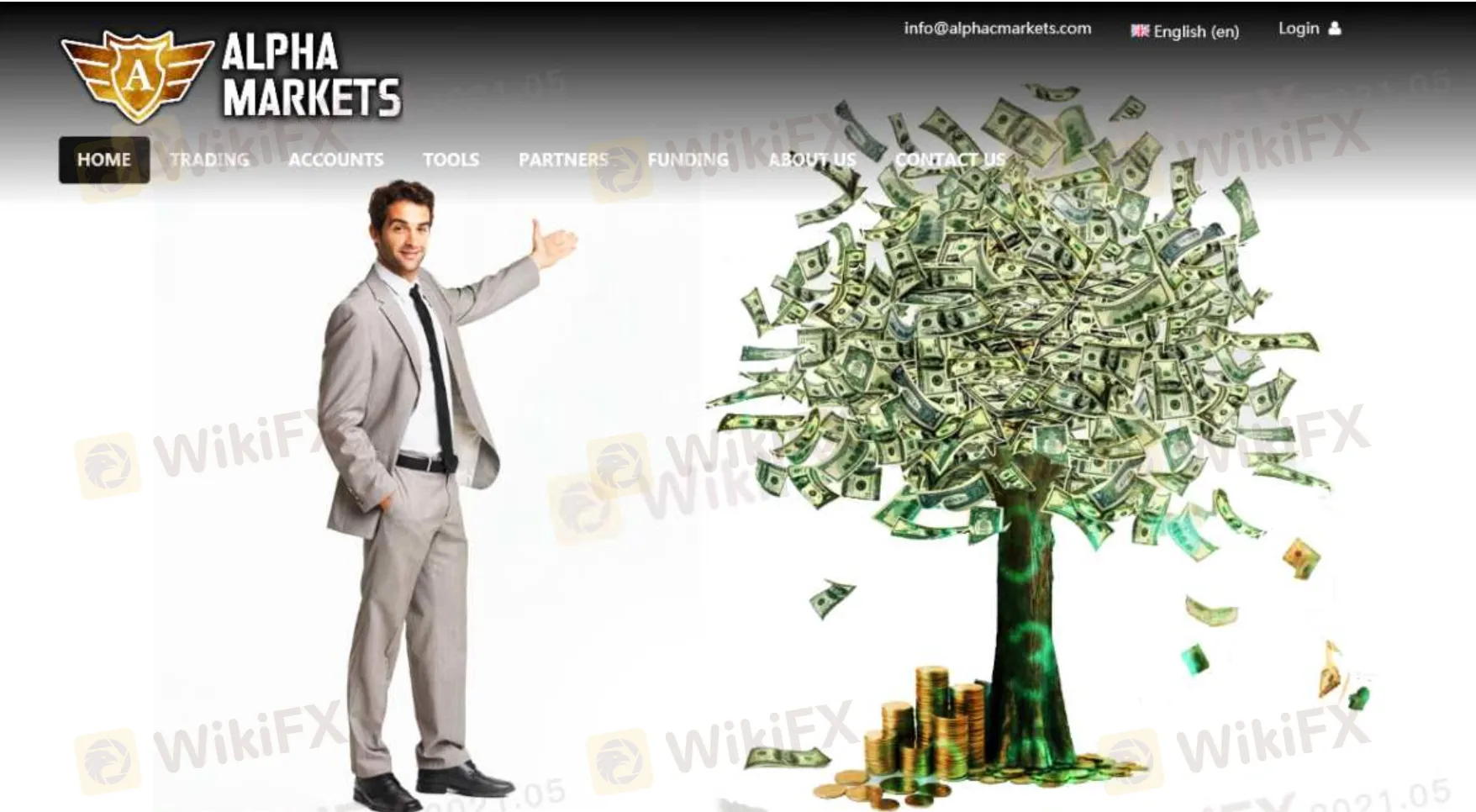 Overview of ALPHA MARKETS