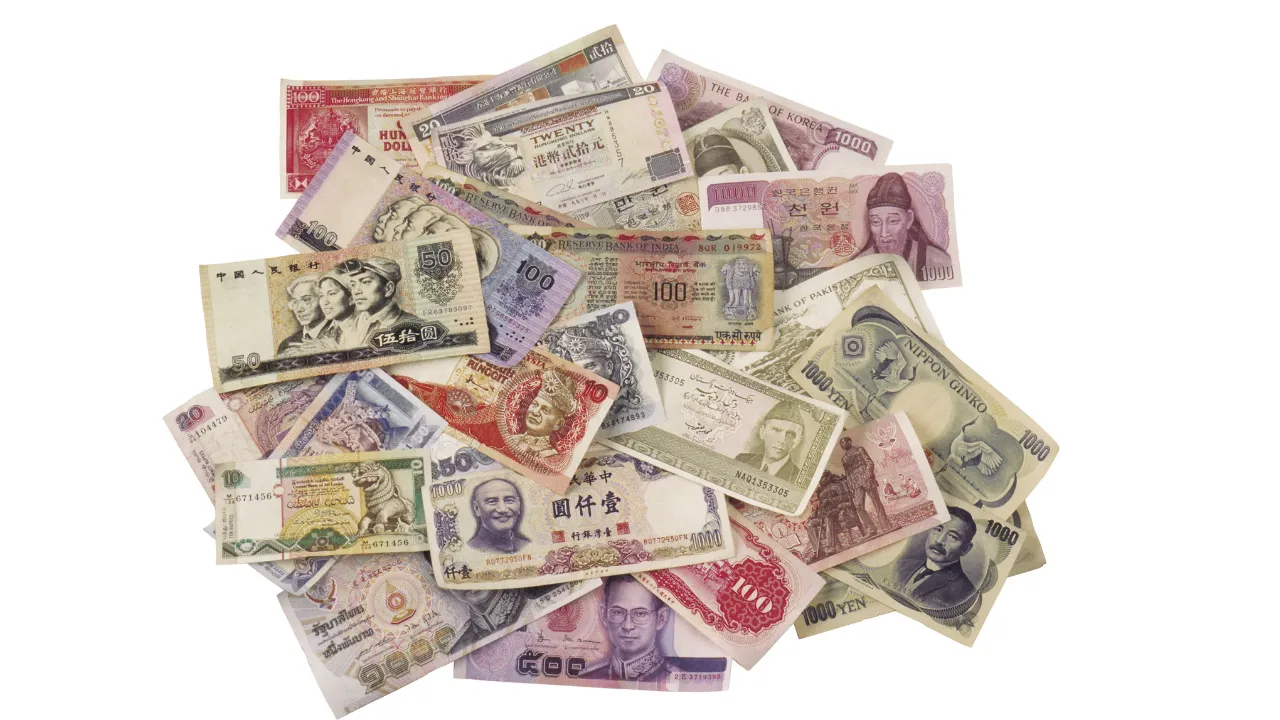 Untitled design (1).png Untitled design (1).png
