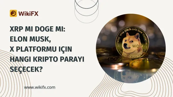 XRP mi DOGE mi Elon Musk, X platformu için hangi kripto parayı seçecek.png XRP mi DOGE mi Elon Musk, X platformu için hangi kripto parayı seçecek.png