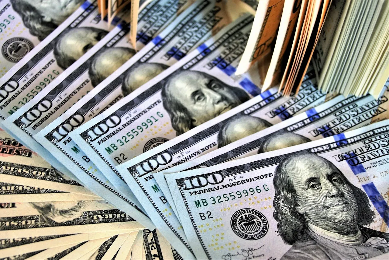 Free America The Dollar photo and picture