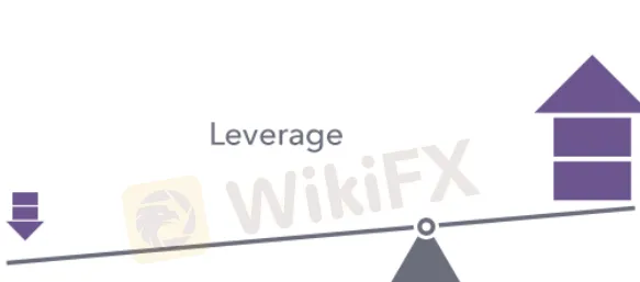 leverage 