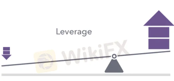 leverage 