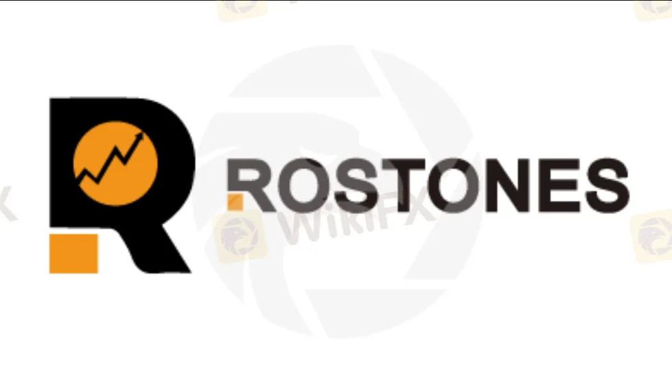 Overview of ROSTONES