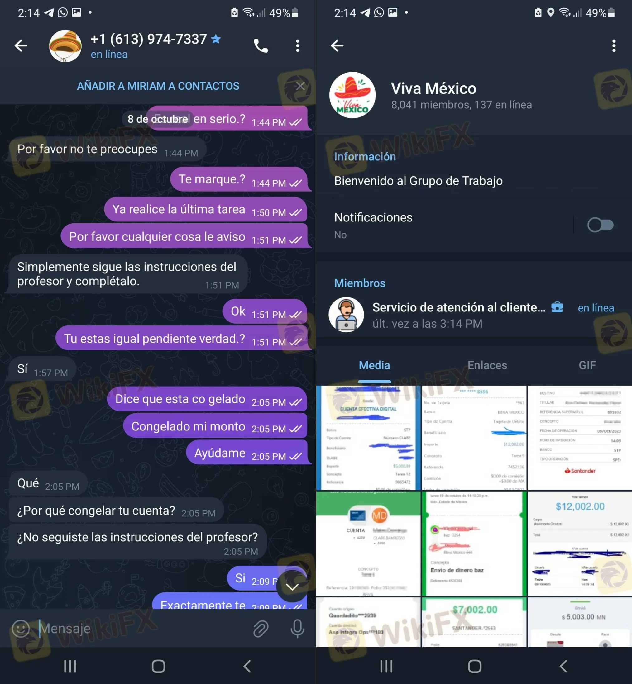 Chat.png