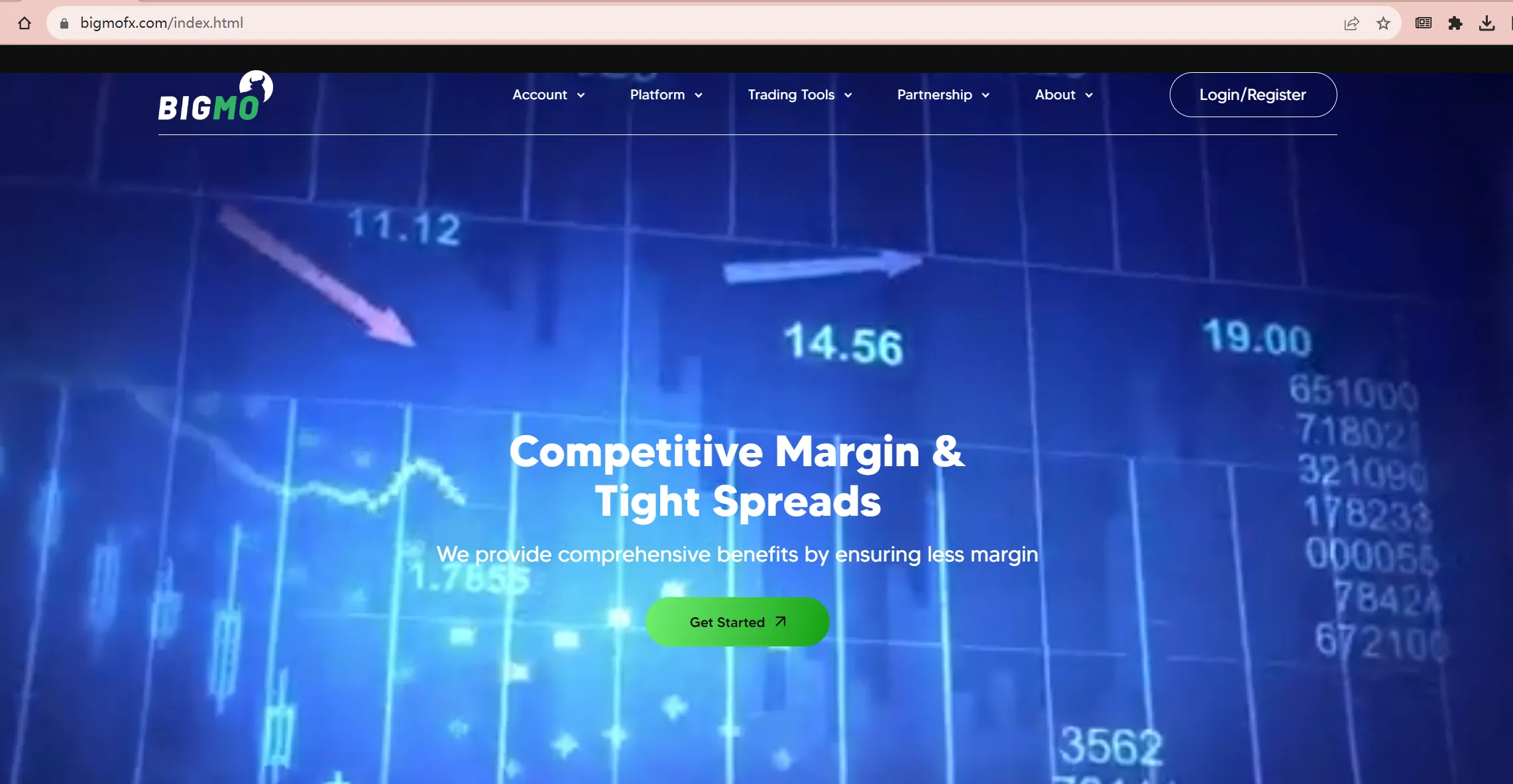 BIGMO's home page