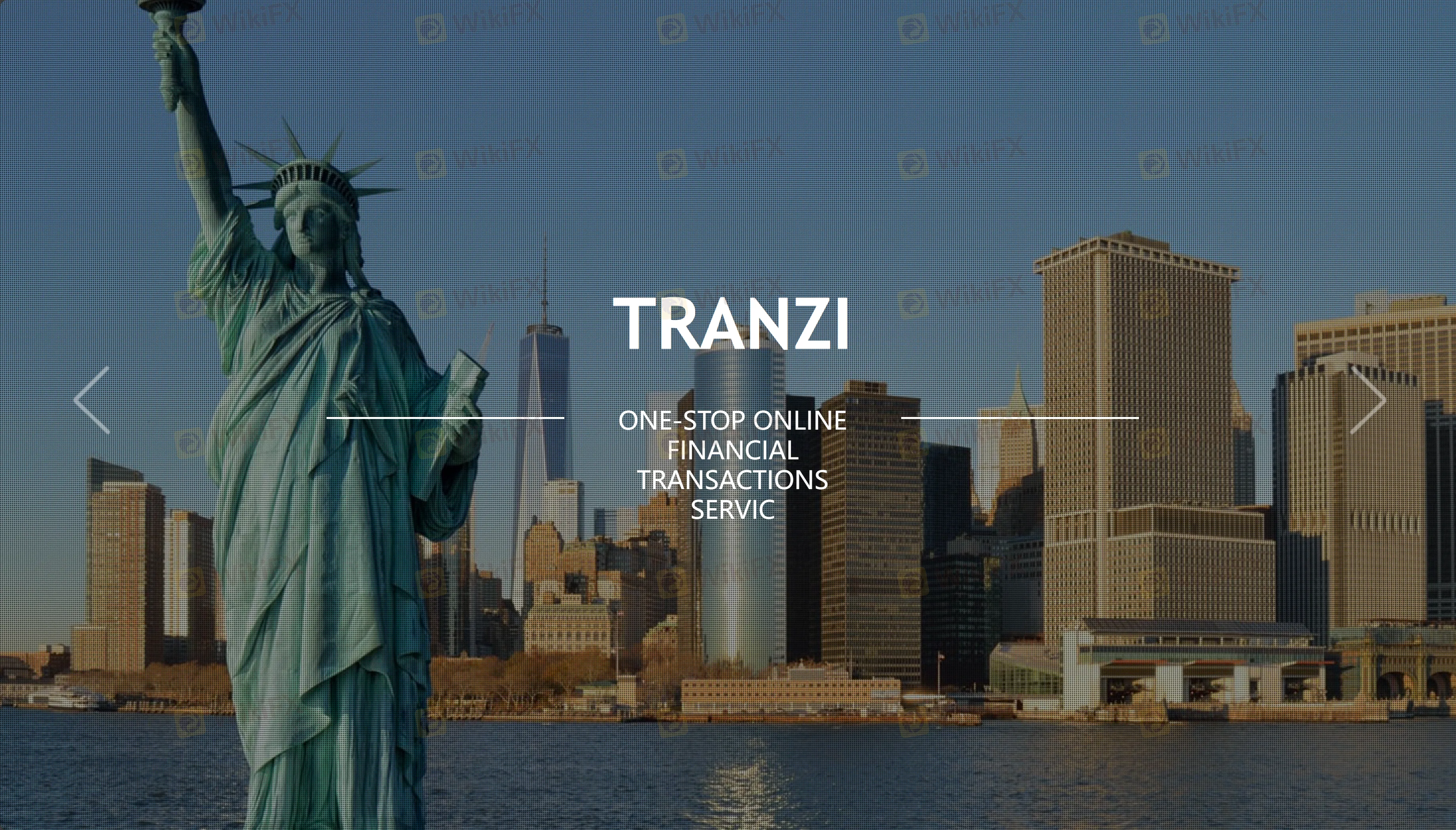 Overview of TRANZI