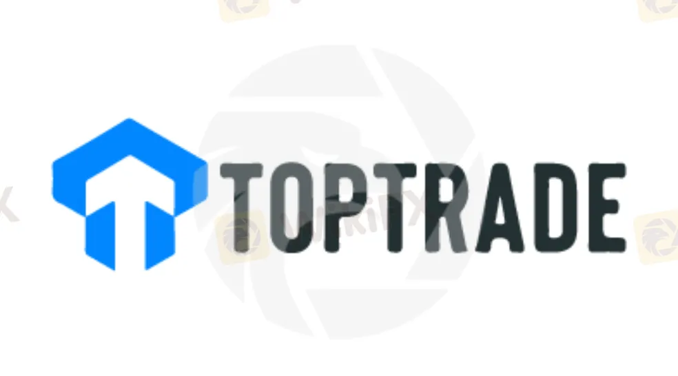 Overview of TopTradeGroup