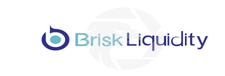 Overview of Brisk Liquidity
