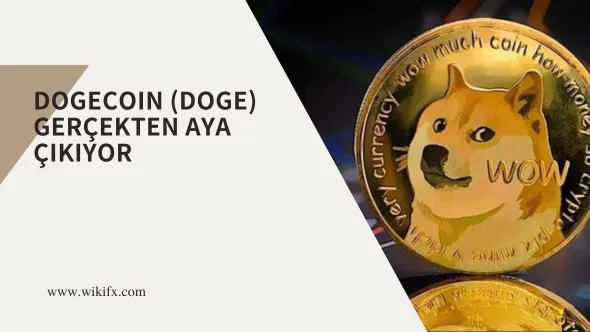 Dogecoin (DOGE) gerçekten aya çıkıyor.png Dogecoin (DOGE) gerçekten aya çıkıyor.png