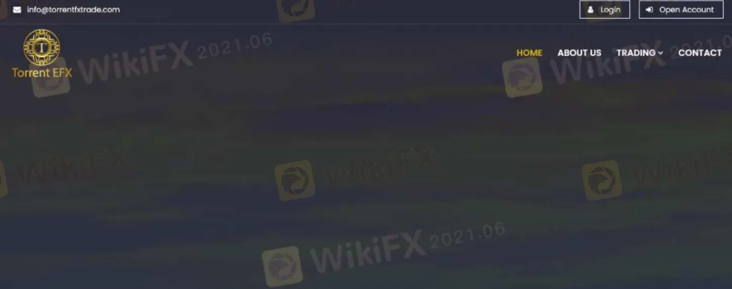 Overview of Torrent EFX 