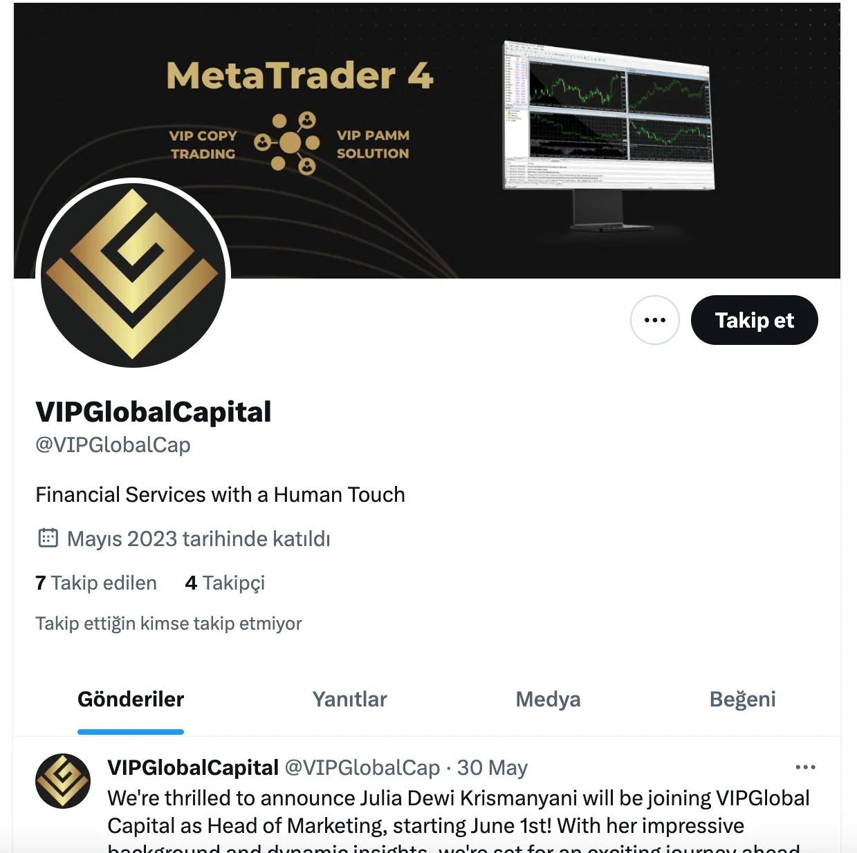 vipglobalfx.png