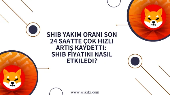 SHIB yakım oranı son 24 saatte çok hızlı artış kaydetti SHIB fiyatını nasıl etkiledi.png SHIB yakım oranı son 24 saatte çok hızlı artış kaydetti SHIB fiyatını nasıl etkiledi.png