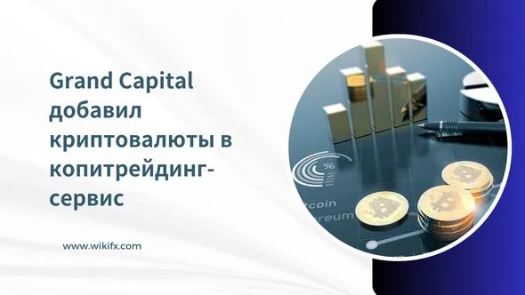 Grand Capital добавил криптовалюты в копитрейдинг-сервис.png Grand Capital добавил криптовалюты в копитрейдинг-сервис.png