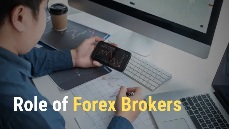Role of Forex Brokers.png