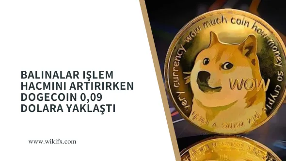 Balinalar işlem hacmini artırırken Dogecoin 0,09 dolara yaklaştı.png Balinalar işlem hacmini artırırken Dogecoin 0,09 dolara yaklaştı.png
