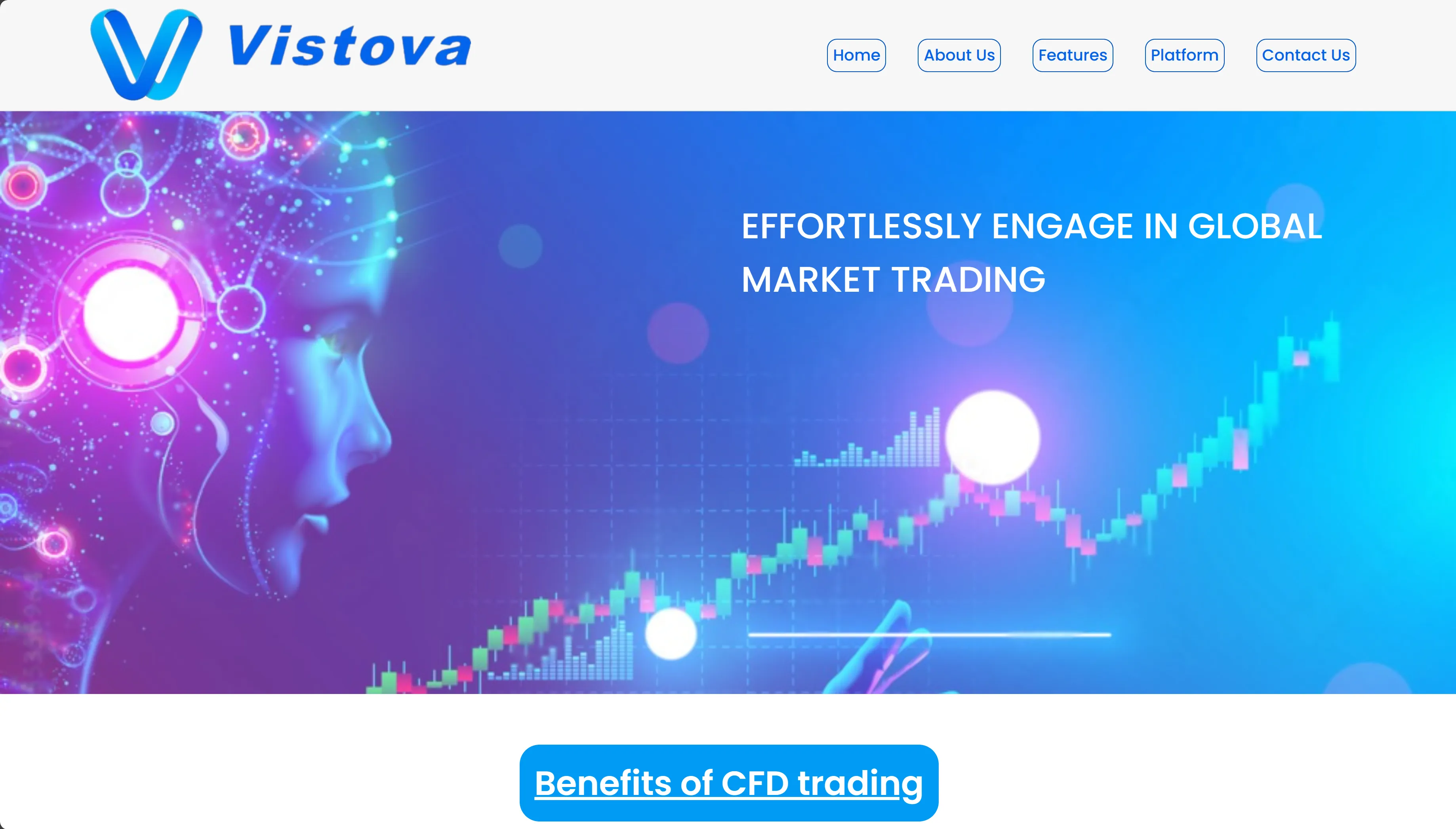 Overview of Vistova