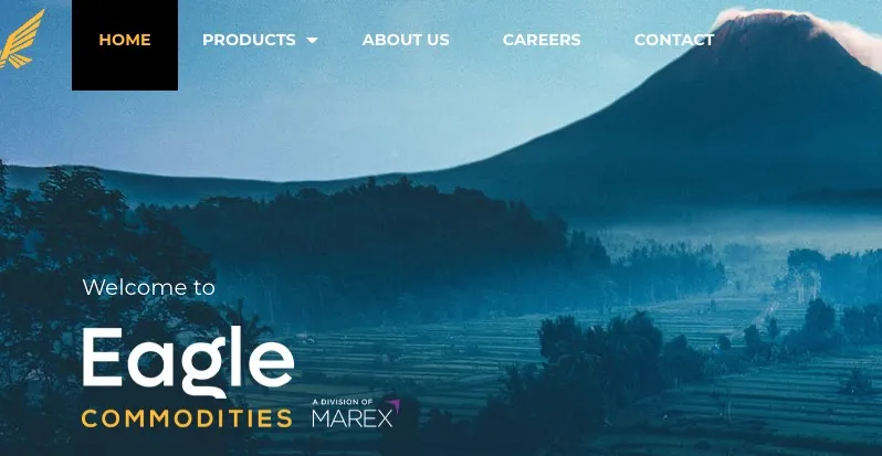 Overview of Eagle Commodities