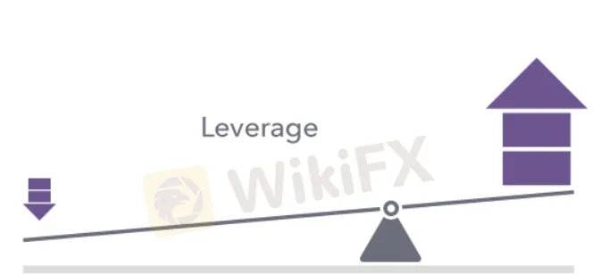 Leverage